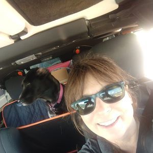 Meet your Posher, Holly